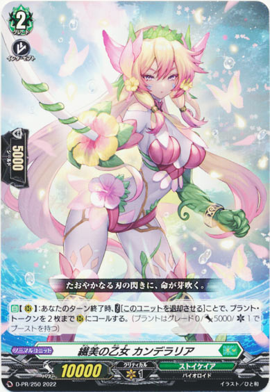 繊美の乙女 カンデラリア