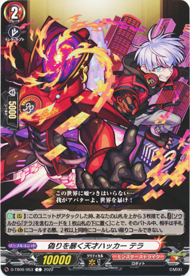 偽りを暴く天才ハッカー テラ