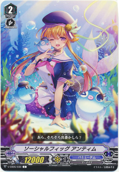 ソーシャルフィッグ アンティム