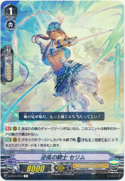 逆風の騎士 セリム