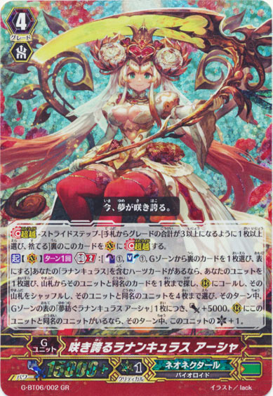 咲き誇るラナンキュラス アーシャ