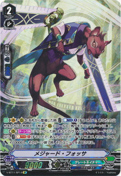 メジャード・フォッサ